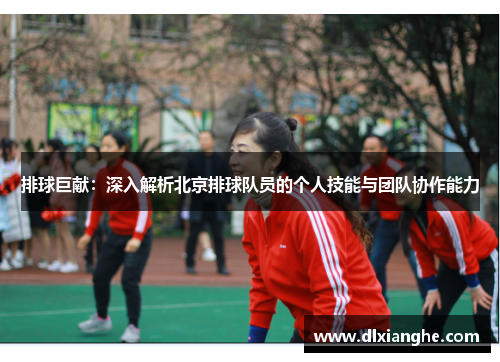 排球巨献：深入解析北京排球队员的个人技能与团队协作能力