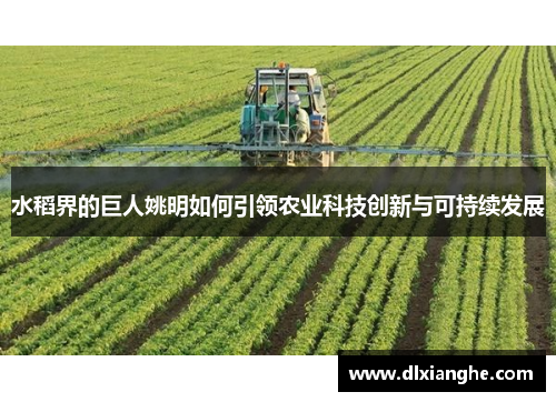 水稻界的巨人姚明如何引领农业科技创新与可持续发展